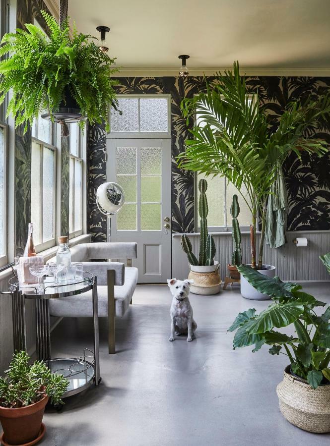 Dreamers Bnb 威尔明顿 外观 照片